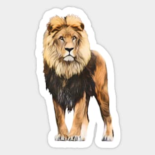 Lion Of Contemplation Sticker